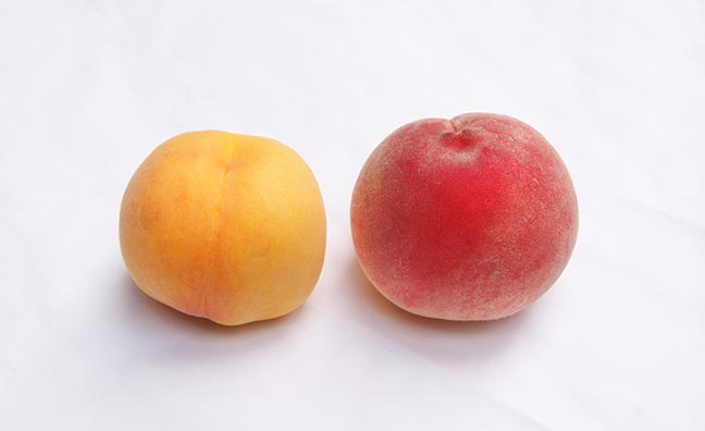 桃の品種は大きく分けて「黄桃」と「白桃」の２種類。日本で食べられるモモの原種は中国生まれです。