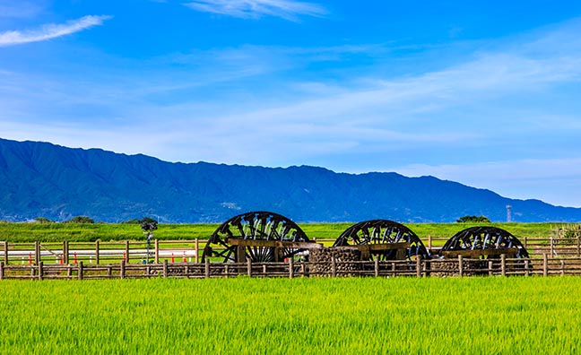 九州の桃生産量ランキングで1位を誇る福岡県朝倉市