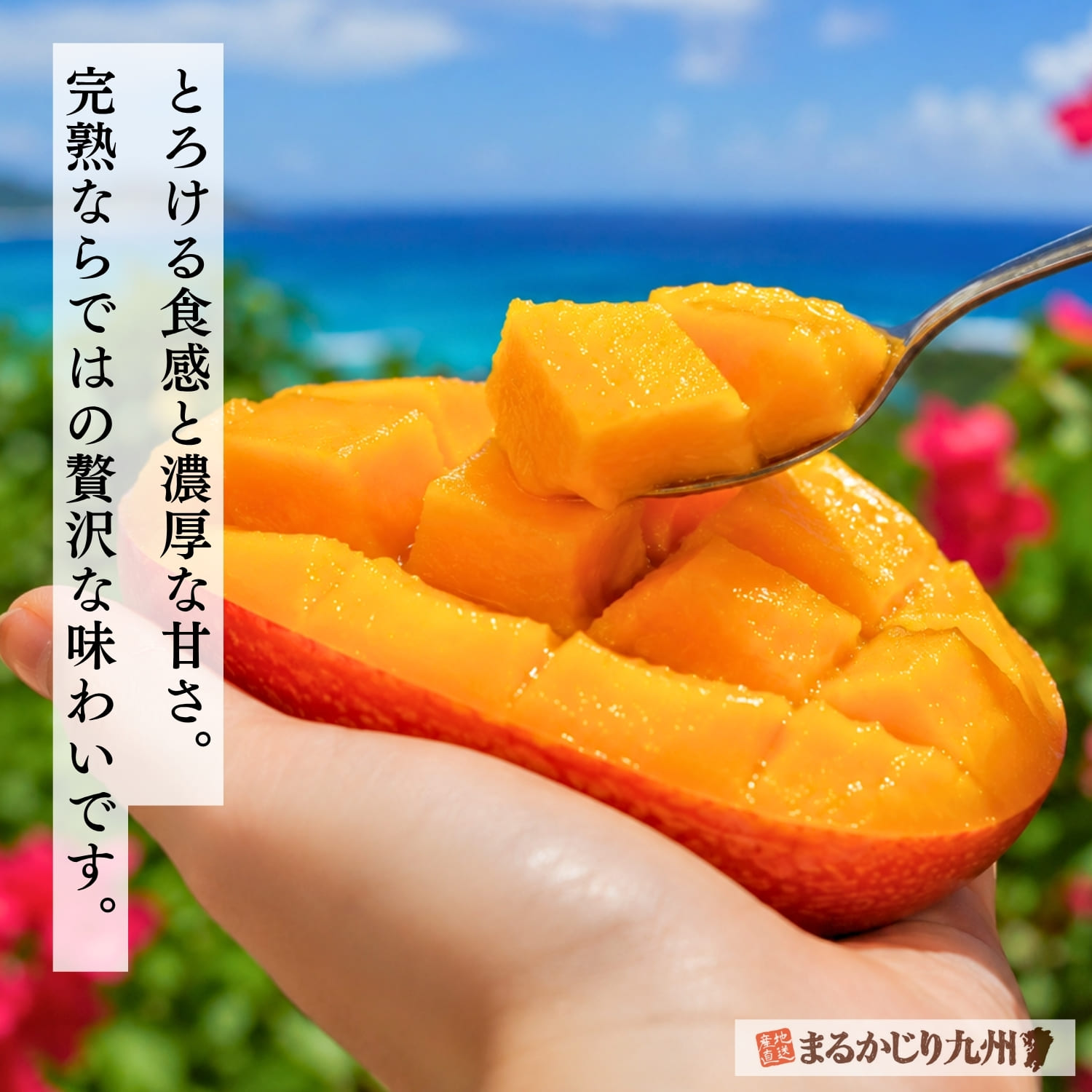 濃厚な甘みととろける果肉が魅力の沖縄県産完熟マンゴー