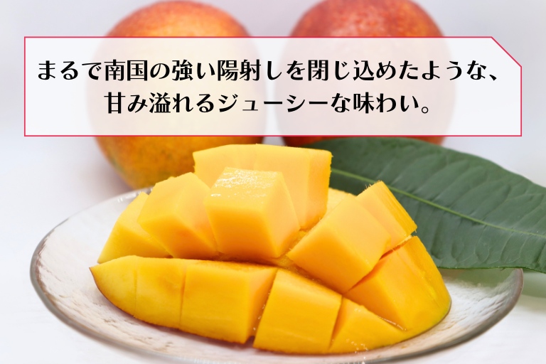 南国フルーツ王国・沖縄県より国産マンゴーをお届け