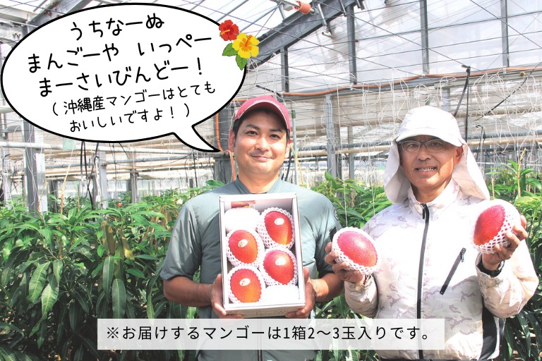 沖縄マンゴーは一番美味しいタイミングで農場から直送するので、ご満足いただけること間違いなしです。