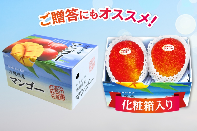 沖縄マンゴーは化粧箱入りでのお届けなので、ご贈答にもおススメです。