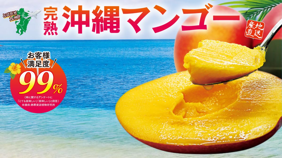 【完熟 沖縄マンゴー】国産マンゴーを沖縄県うるま市より通販でお取り寄せ