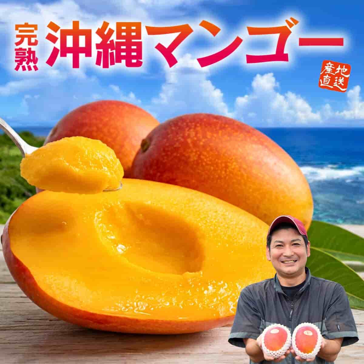 完熟 沖縄マンゴー