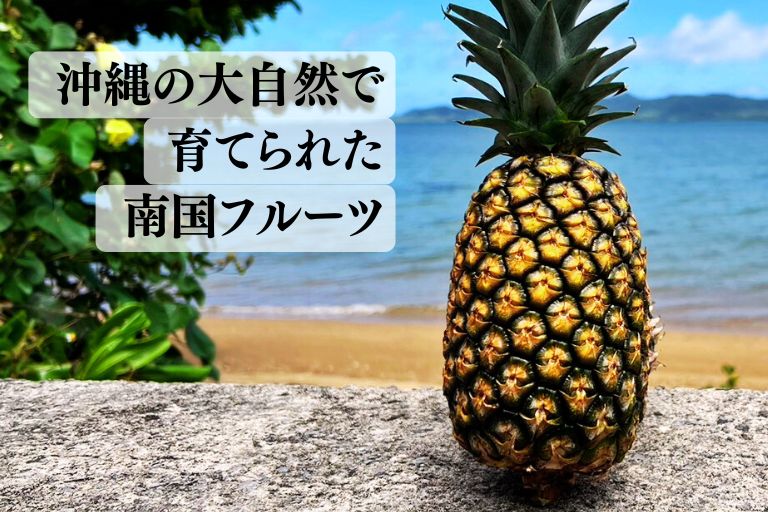 甘さが特徴のサンドルチェを沖縄から産地直送でお届けします。
