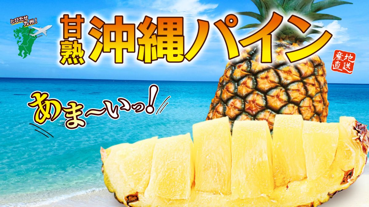 沖縄県産「甘熟沖縄パイン」