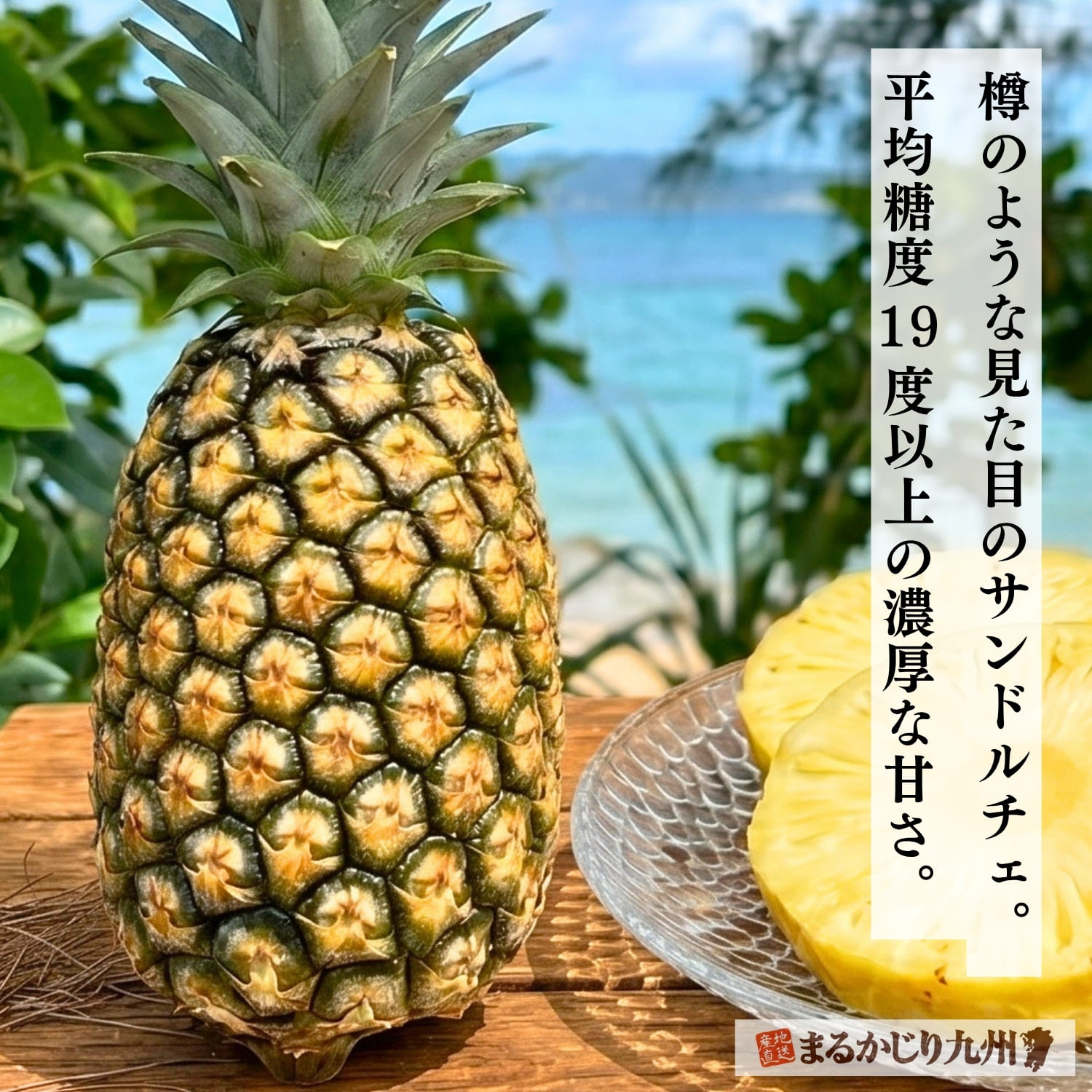 樽型が特徴の完熟サンドルチェ