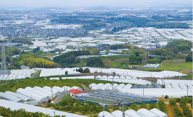 町全体にすいか栽培のハウスが広がる植木町
