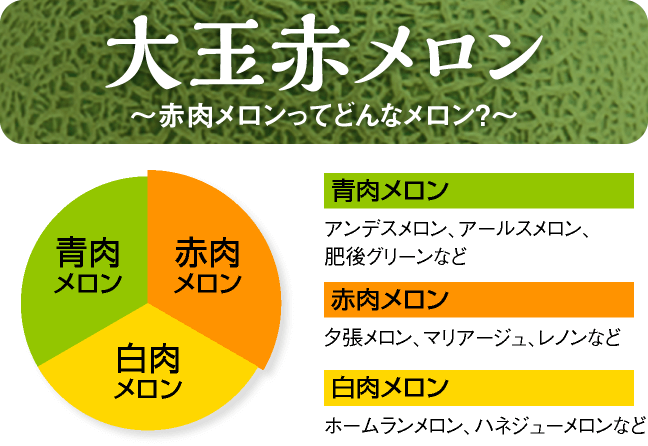 赤肉メロンってどんなメロン？赤肉メロン、青肉メロン、白肉メロンの違いを大公開。あなたの好みの舐瓜（めろん）を選びましょう。