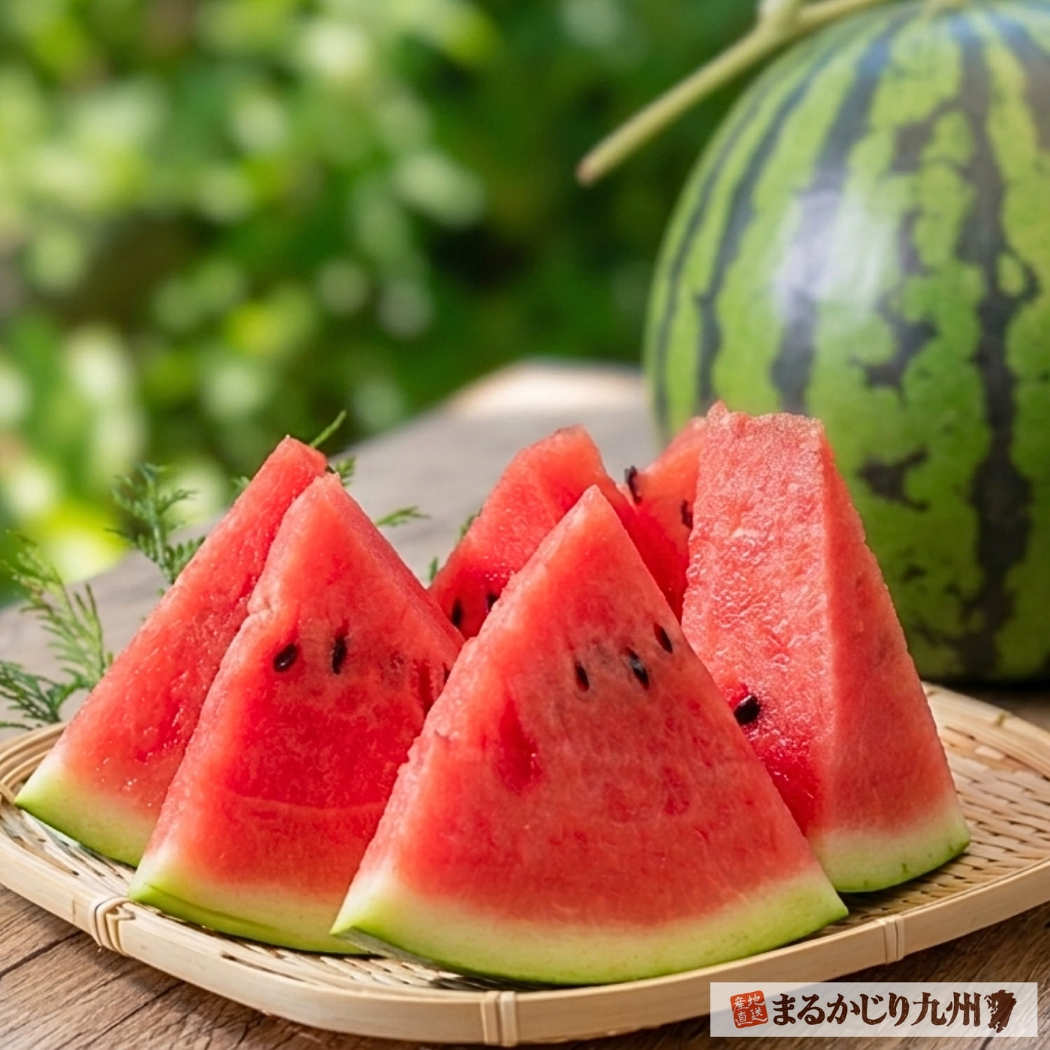 旬の熊本産大玉すいかは上品な甘さ