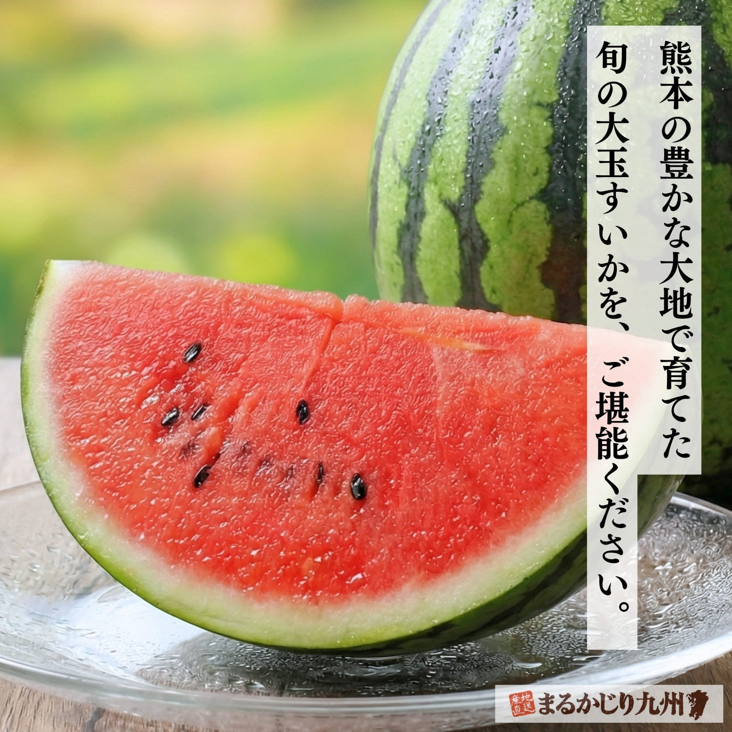 熊本から届く初夏のギフト