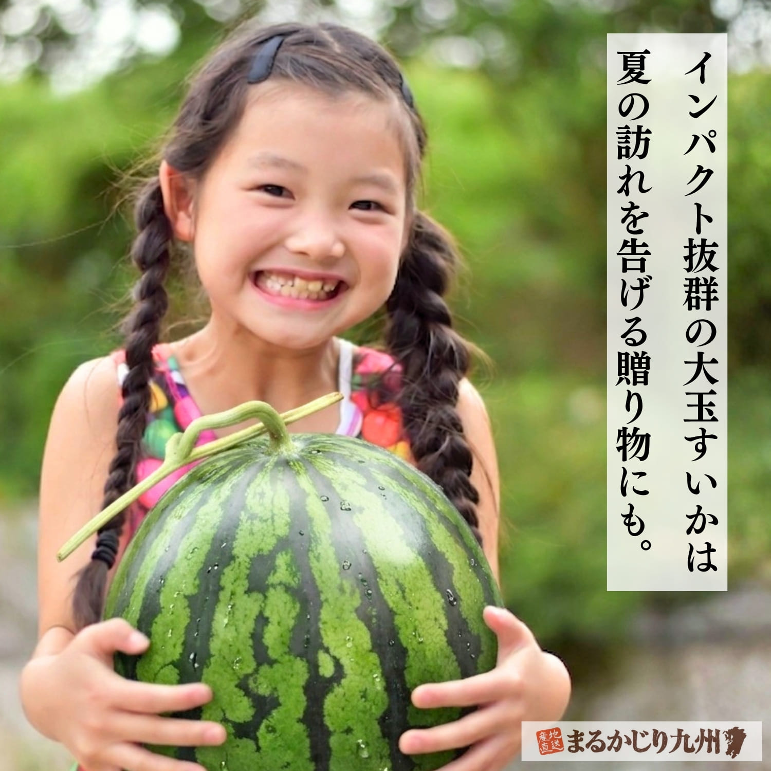 ギフトに喜ばれる熊本の大玉すいか