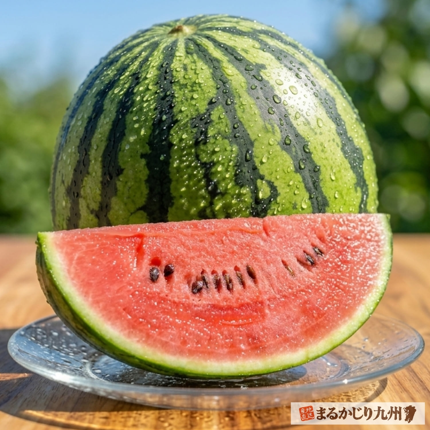 初夏におすすめ！ダイナミックな大玉すいか！