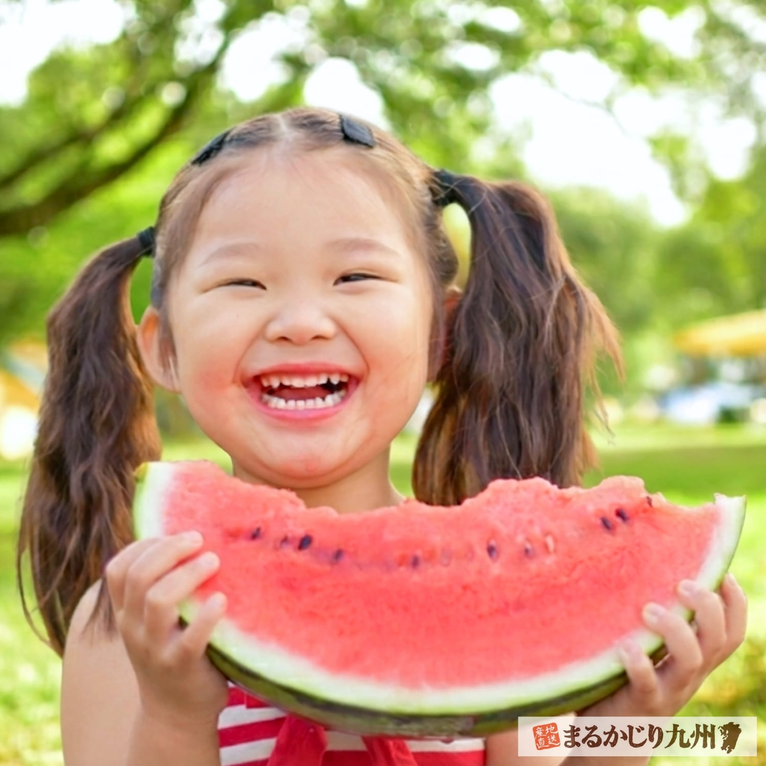 旬の大きなすいかを食べる子供