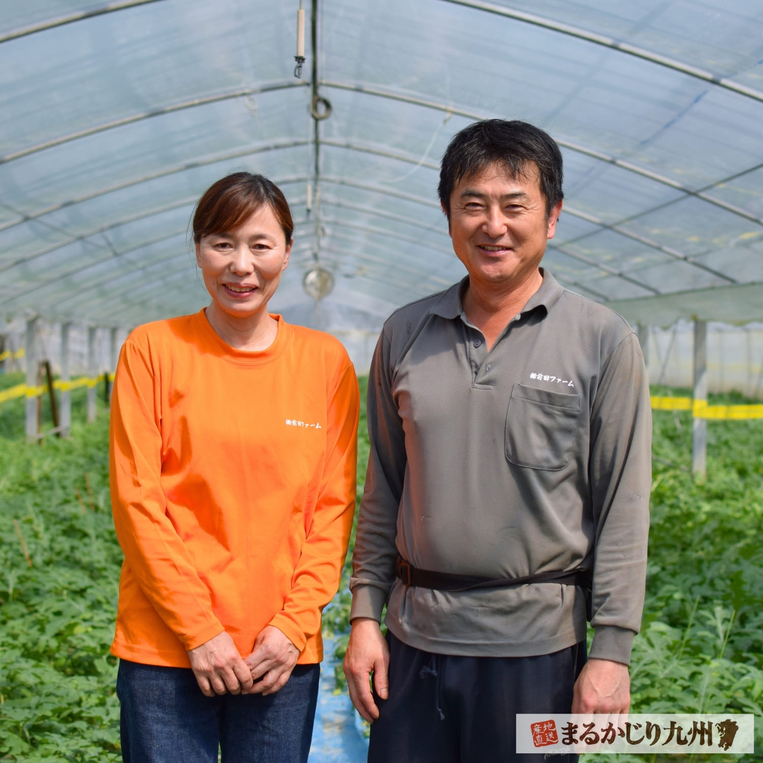 大玉すいかをお届けしてくれるのは前田さん夫婦をはじめとするベテランのすいか農家