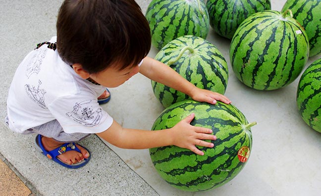 大きなすいかを出すと小さなお子さんは大喜び！大人もお子さんと比べてのすいかの大きさに驚きますね。