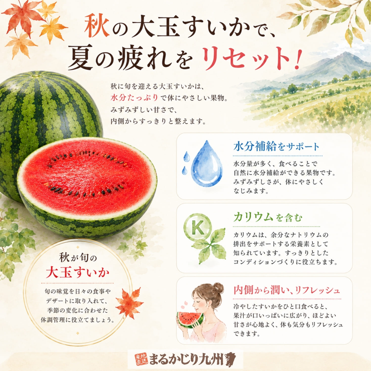 みずみずしい果汁をたっぷり含んだ秋の大玉すいか「羅皇（らおう）」