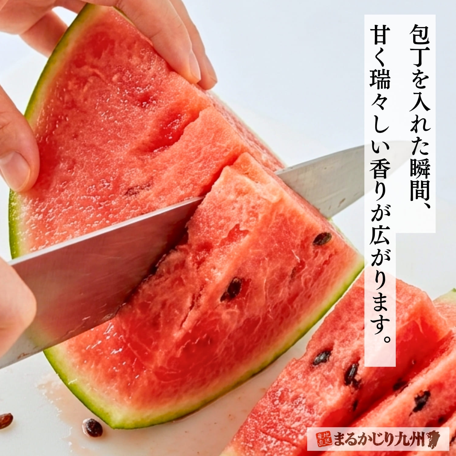 切った瞬間に溢れ出るみずみずしい大玉スイカ「羅皇（らおう）」の果汁