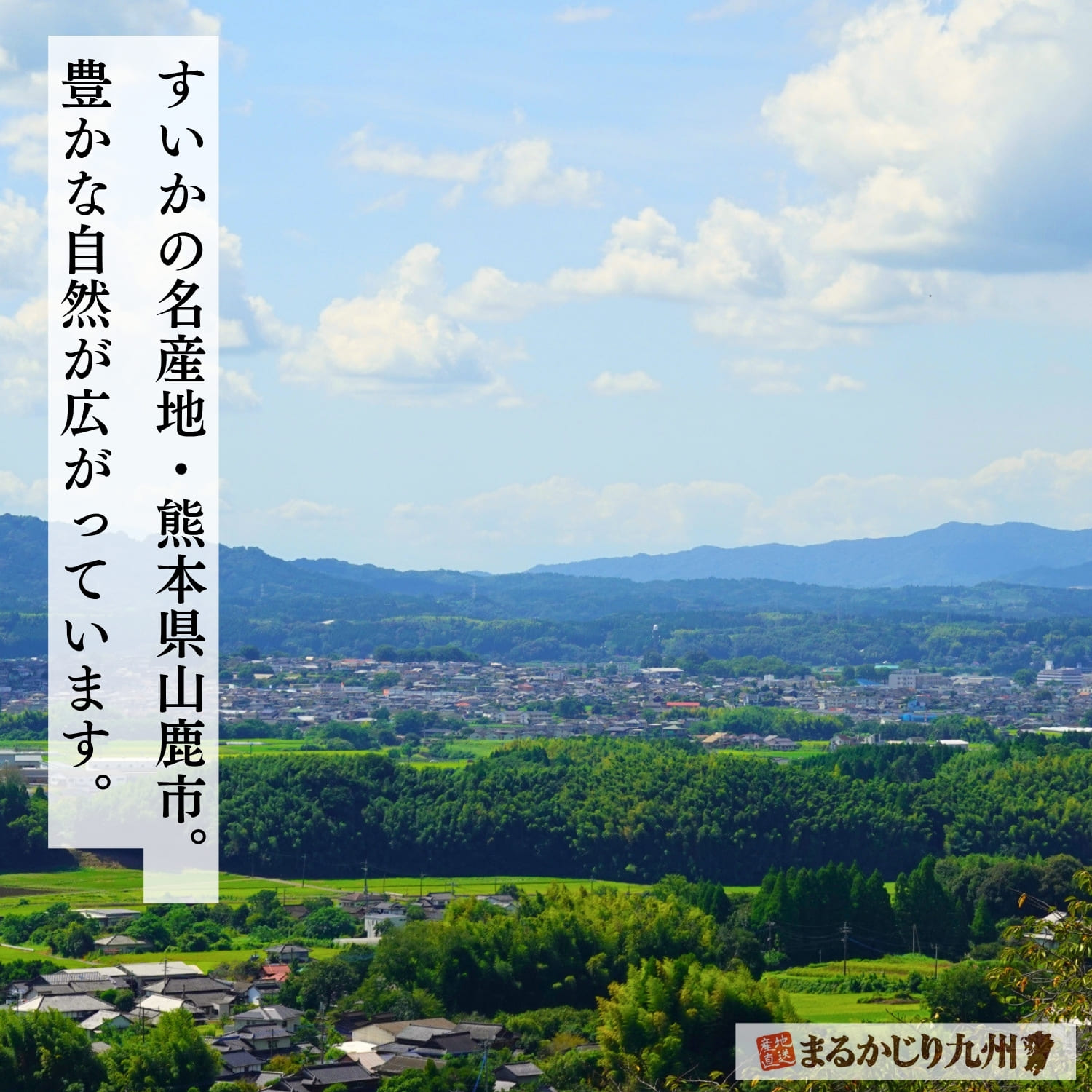 大玉の秋スイカ「羅皇（らおう）」の産地・熊本県山鹿市の風景