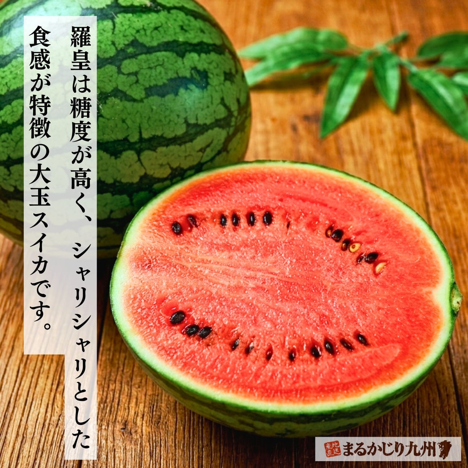 鮮やかな赤色の果肉が美しい大玉スイカ品種「羅皇（ラオウ）」