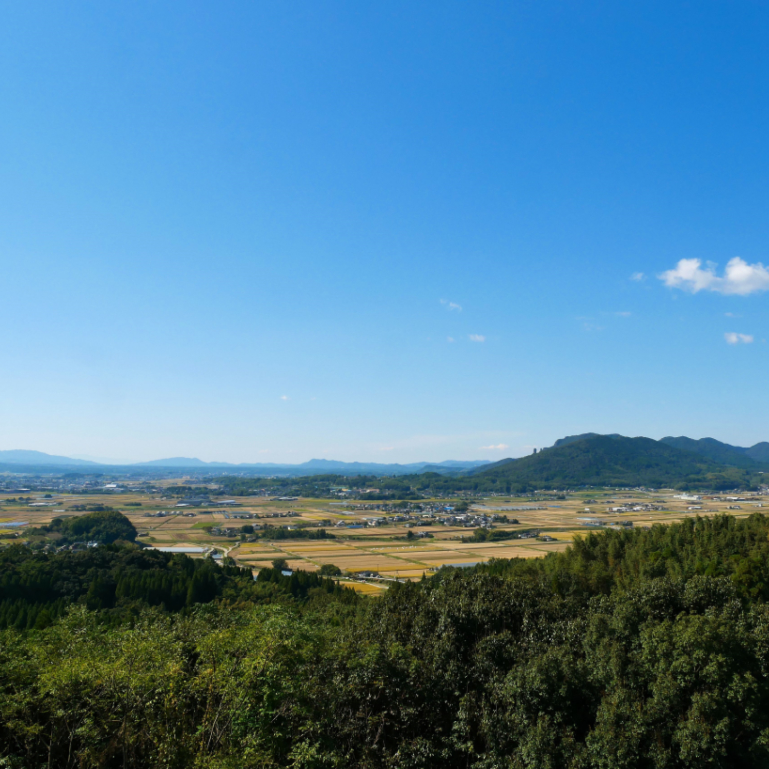 大玉すいかの産地、熊本県山鹿市の風景。