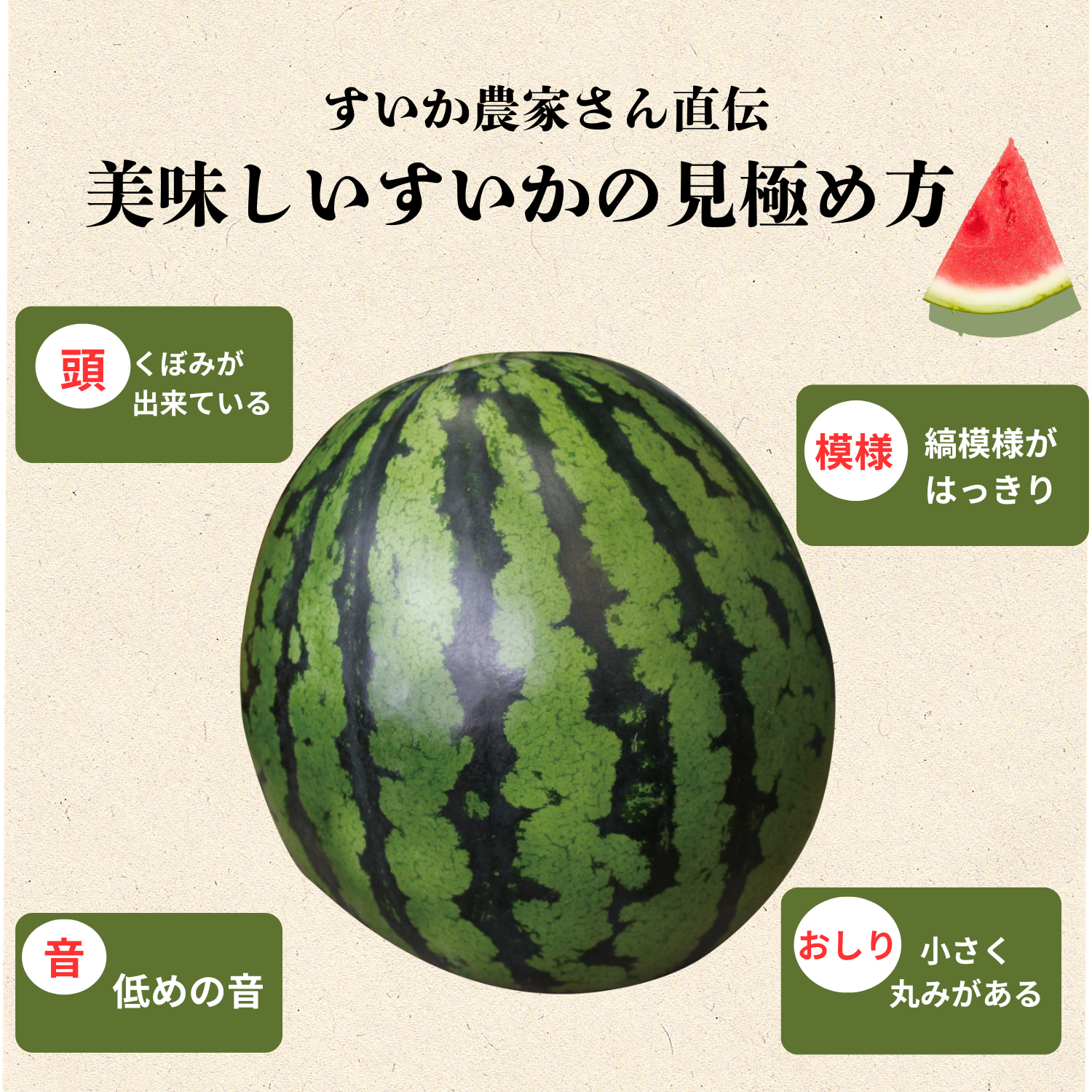 美味しいすいかの見極め方。