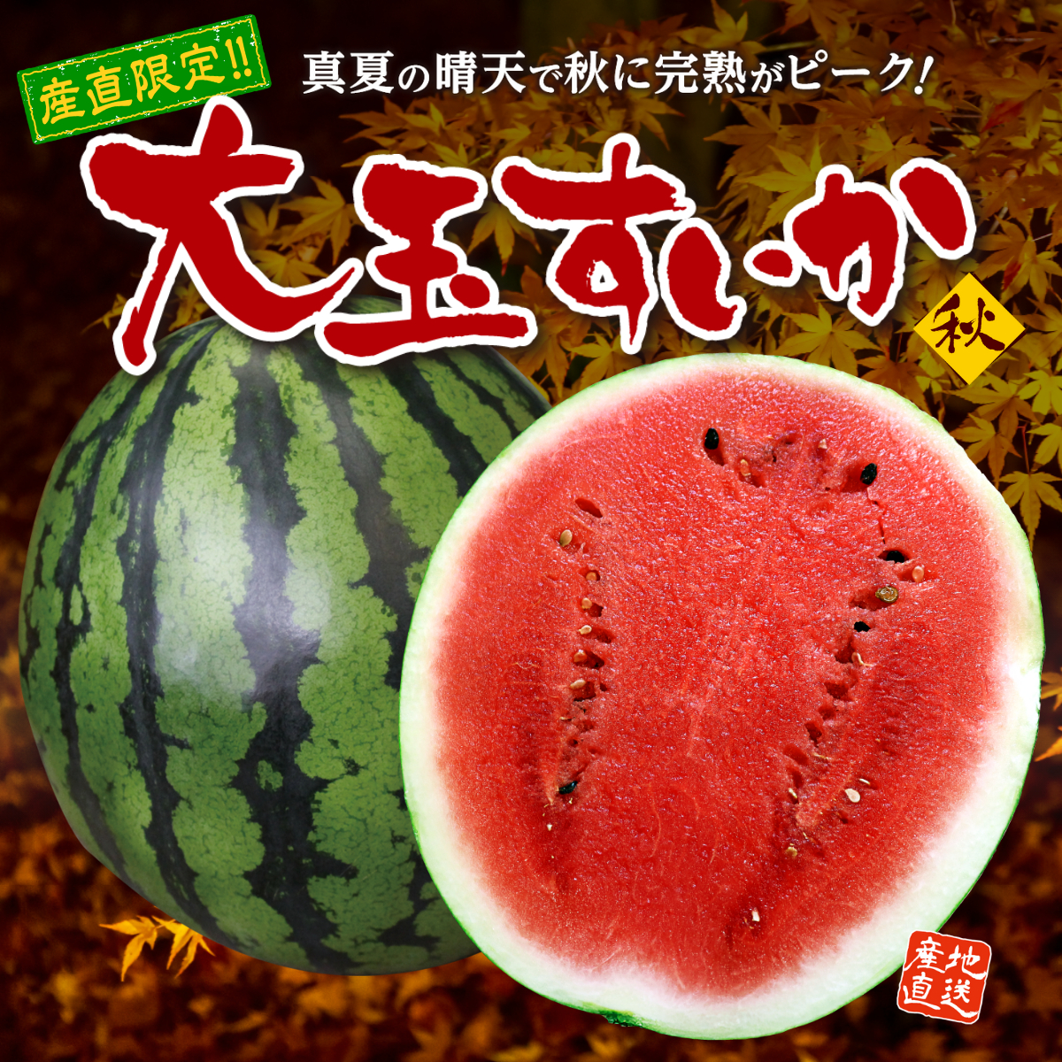 熊本県産 大玉秋スイカ