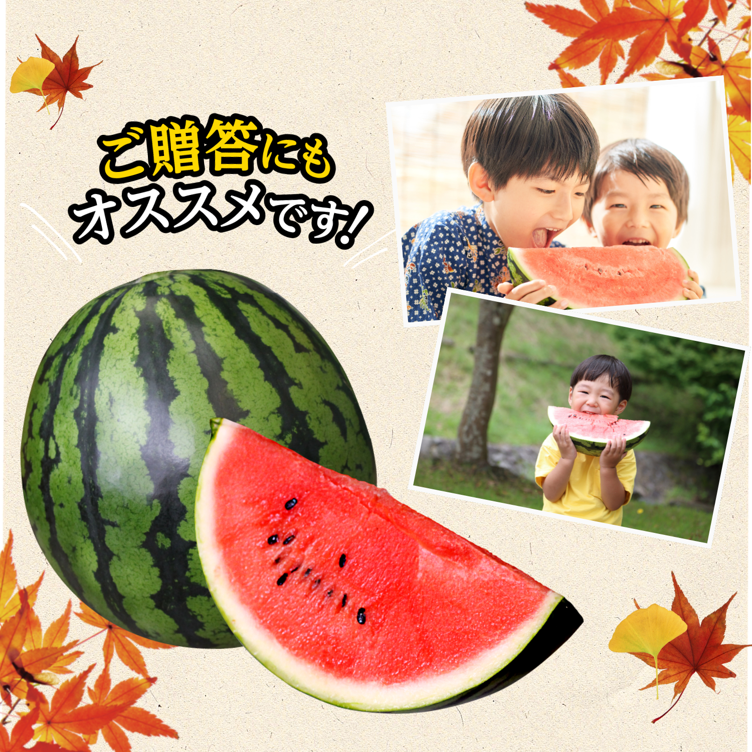 秋に旬を迎える特別なすいかなので、ご贈答にもおすすめです。