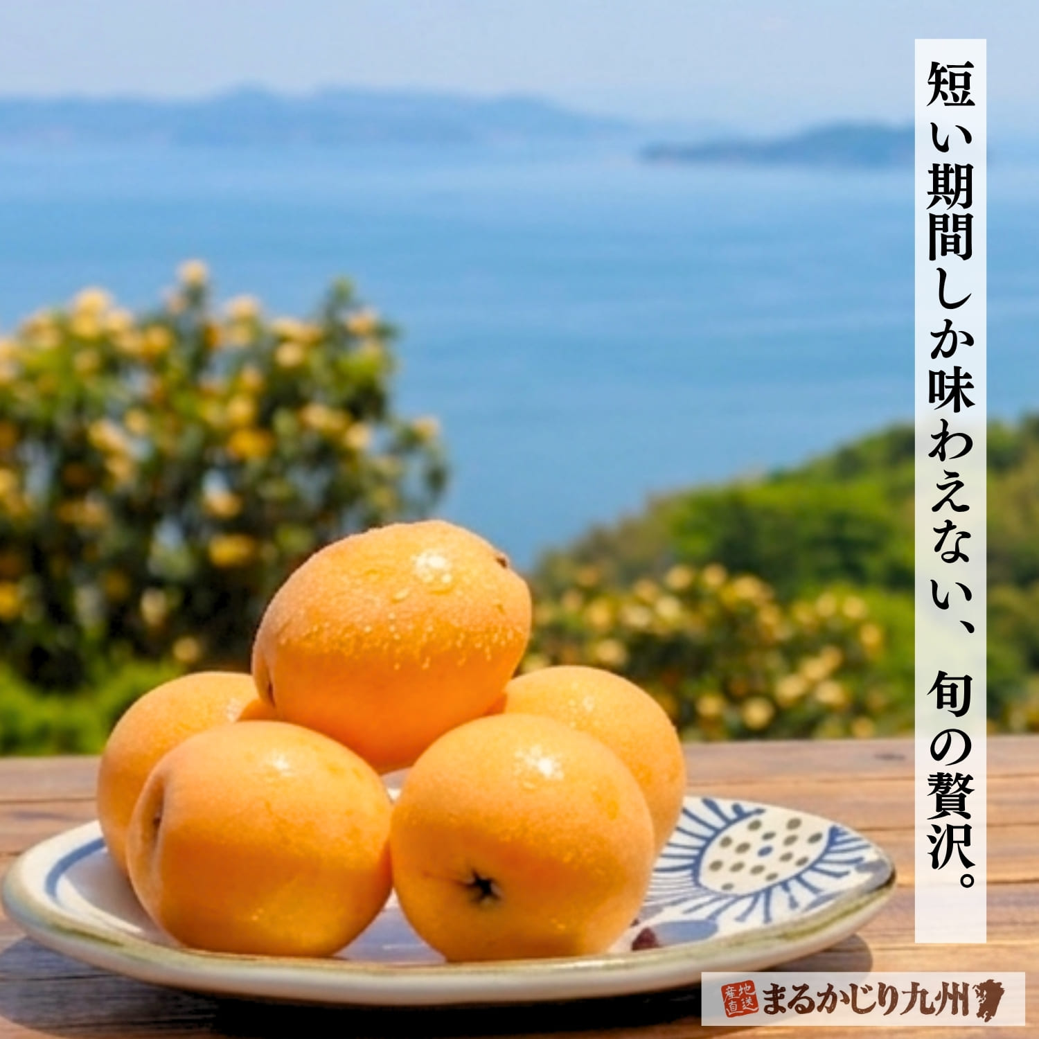 初夏の美味しい便りをお届けします