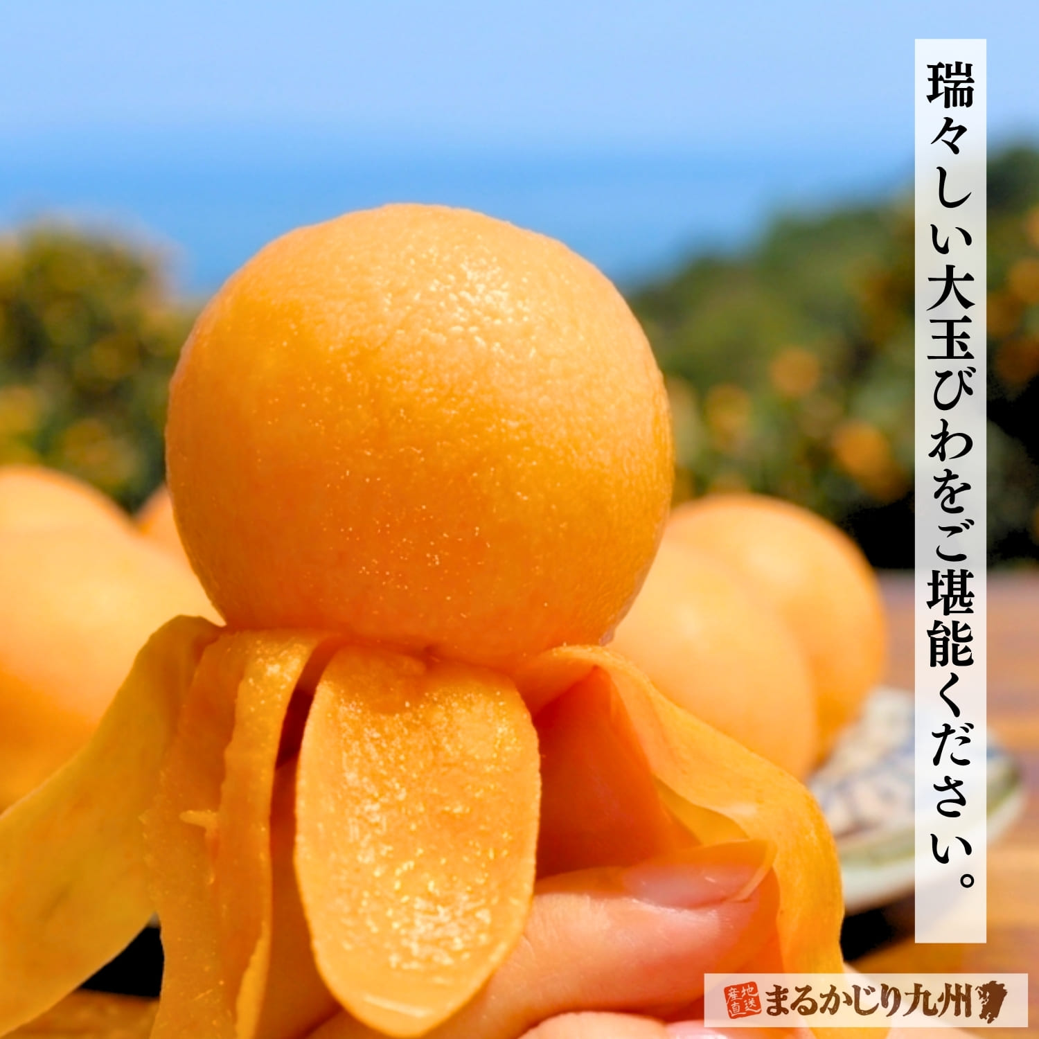 果汁感あふれるびわ