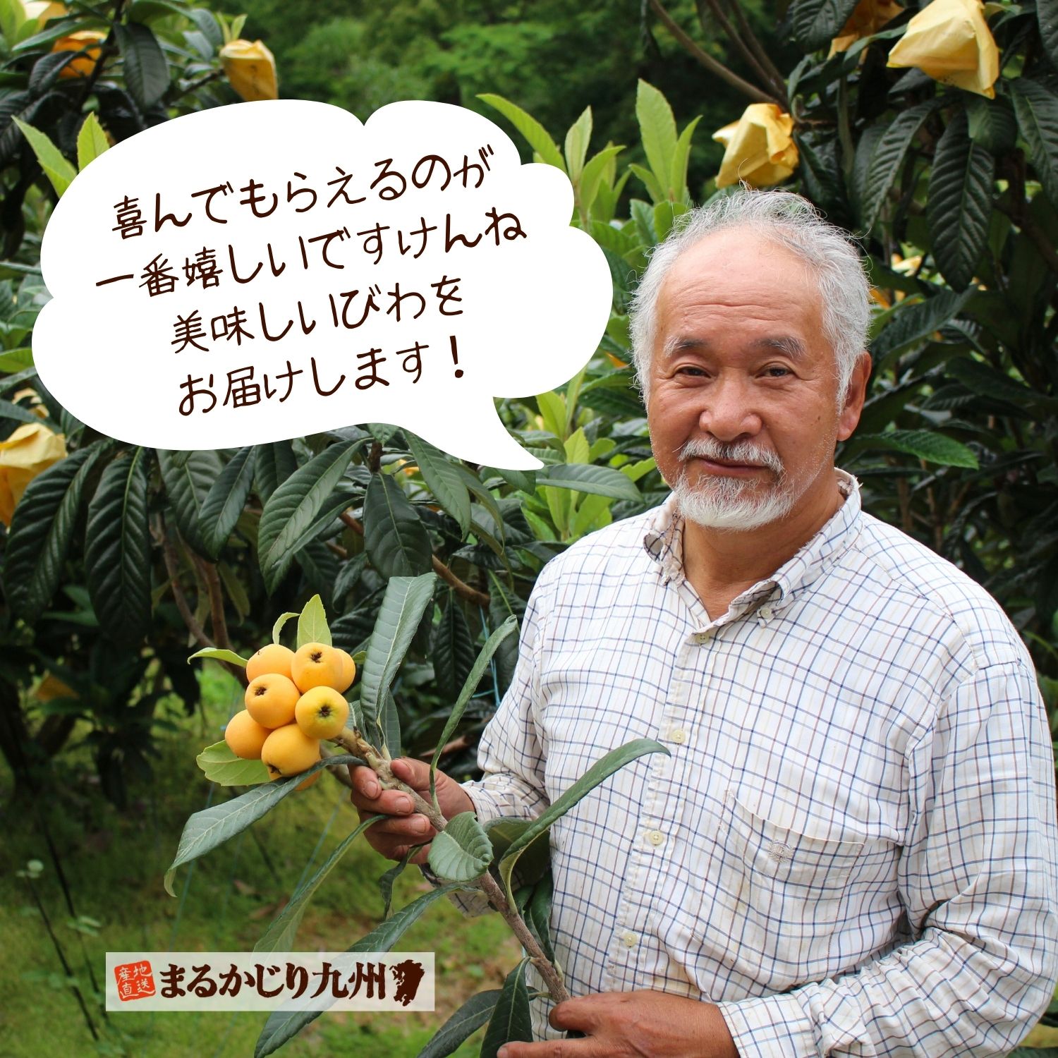 農家の峰さんは「完熟大玉びわ」のベテラン農家。栽培のポイントを丁寧に教えてくれます。