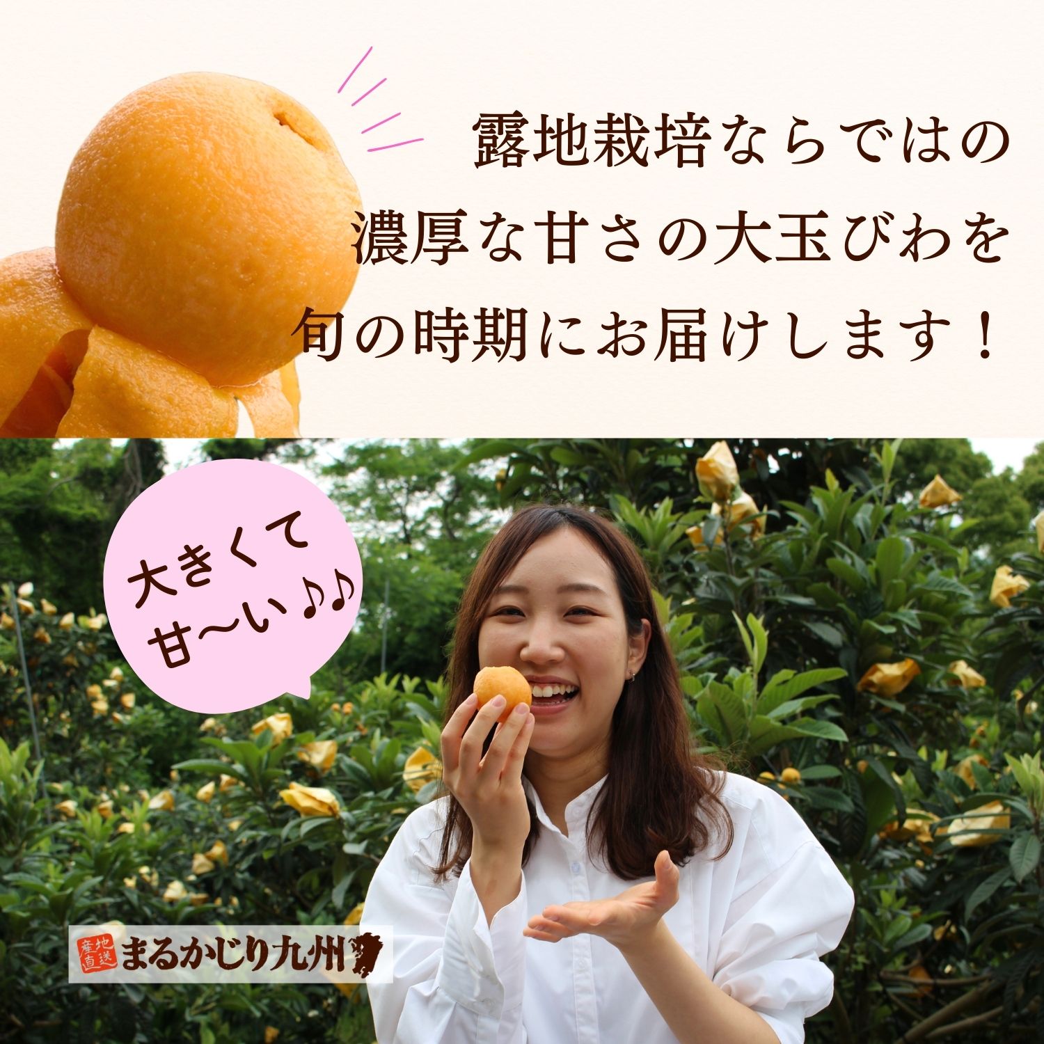 手から零れ落ちるほどの果汁感をぜひご自宅でお楽しみください