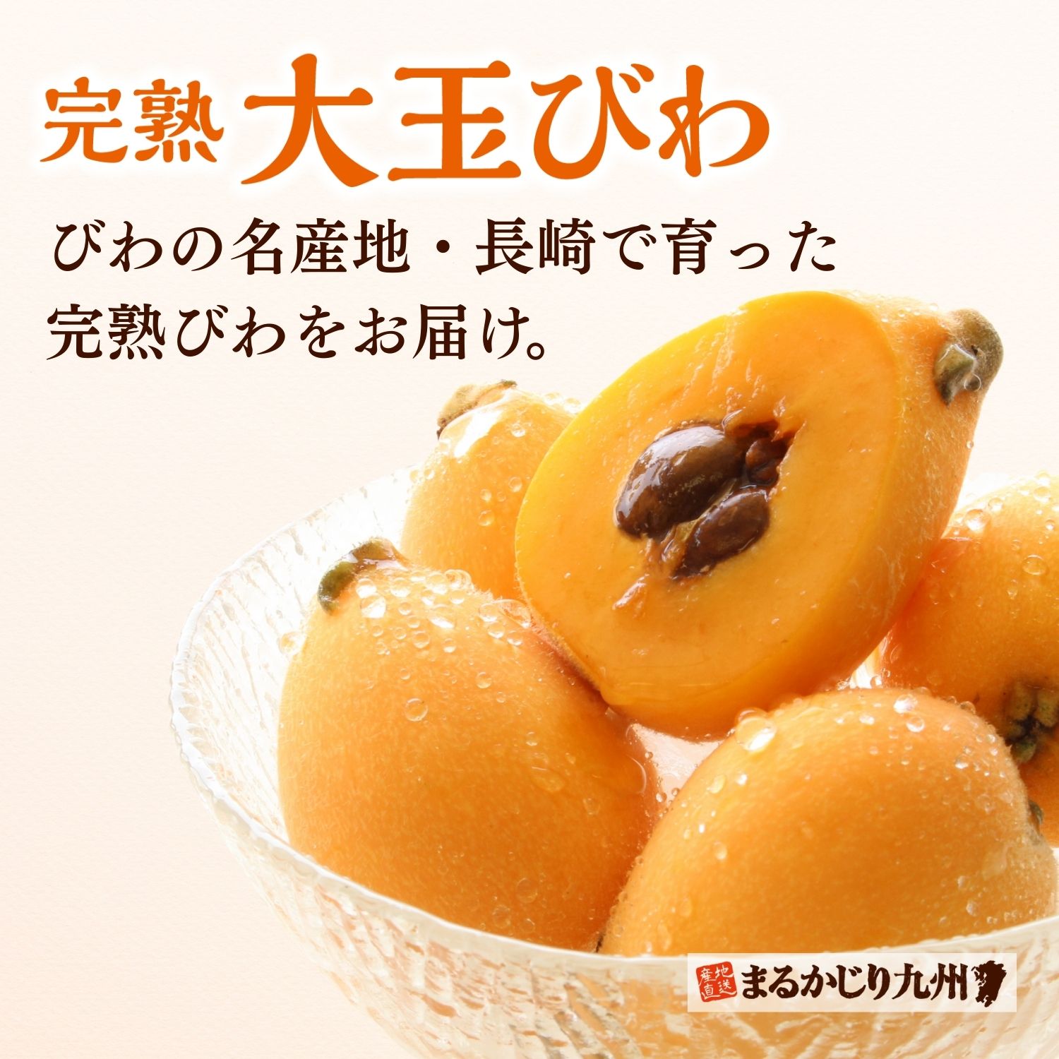 びわの名産地長崎で育った完熟びわをお届け