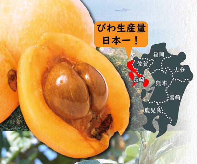果汁あふれる完熟大玉びわ。大玉で肉厚な「なつたより」は長崎でも人気が高い。