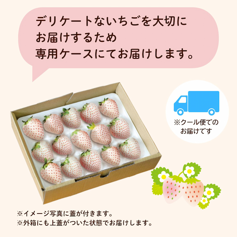 パールホワイトは、デリケートな白いちごを傷つけないためにいちご専用ケースにてお届けいたします