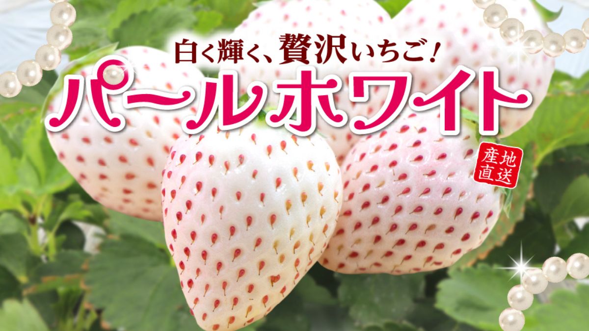 パールホワイト】華やかな香りとやさしい甘さの高級白いちごを限定販売