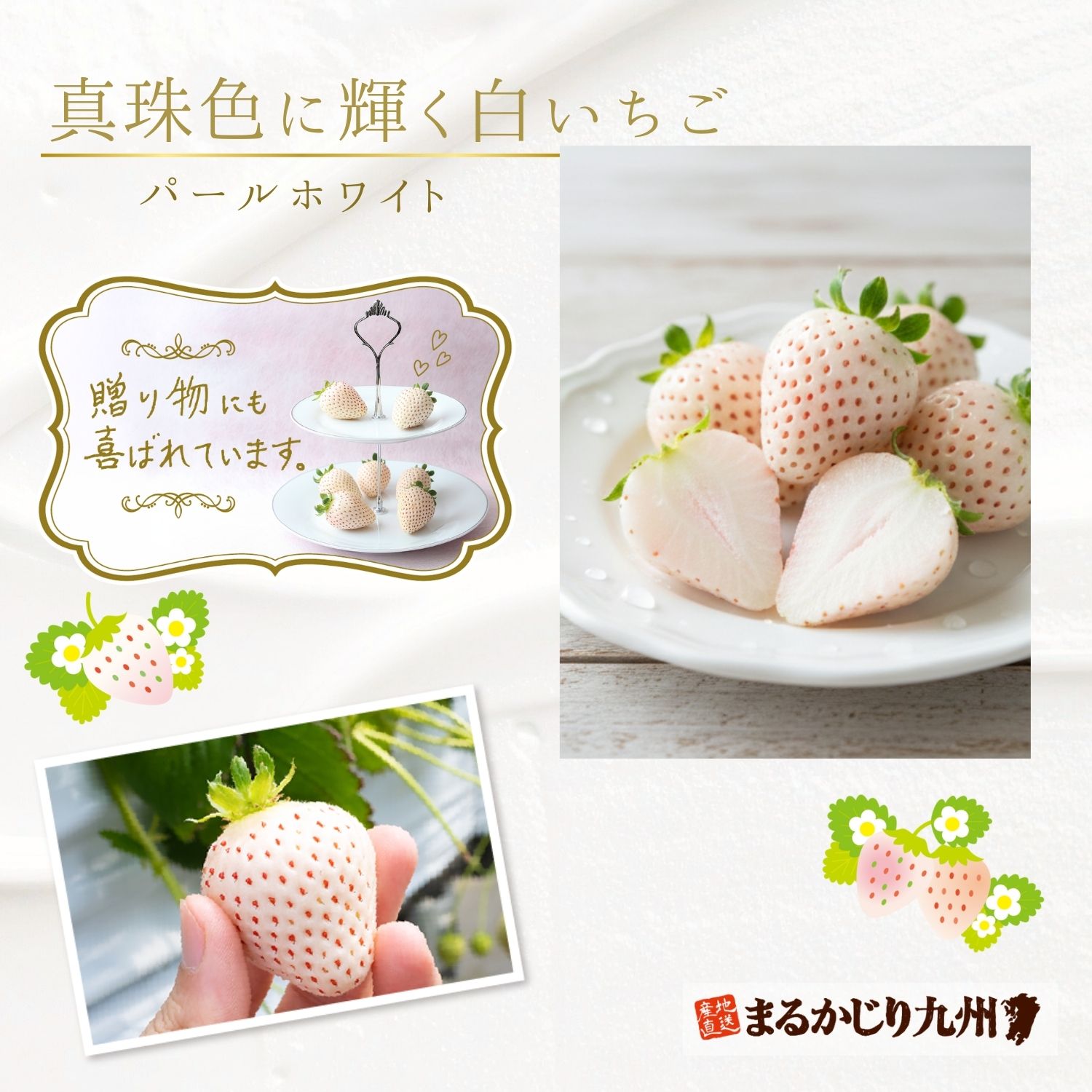 華やかな印象の白いちご（パールホワイト）は贈り物にも最適です