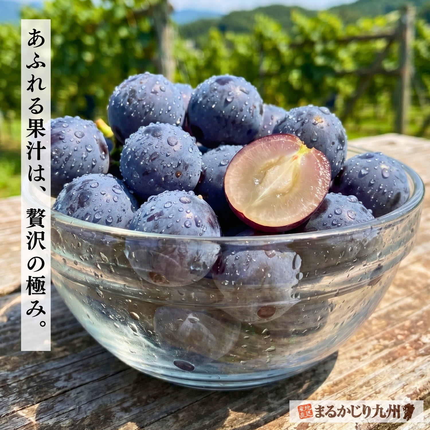 断面から溢れる果汁と実の詰まったピオーネの様子