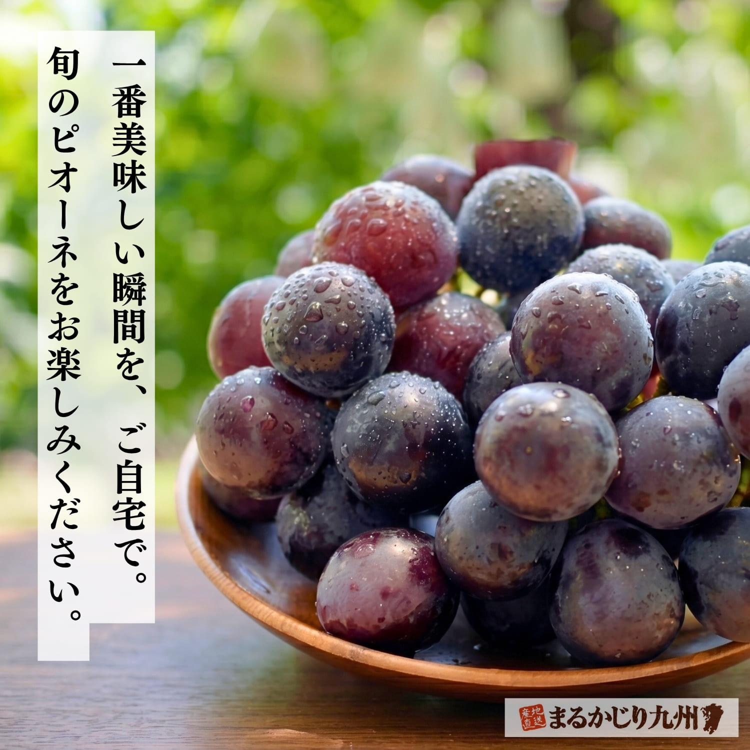 瑞々しく新鮮なピオーネを木のテーブルに置いた様子