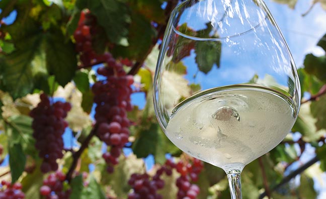 広島県ではピオーネが原料のワインが生産されています。