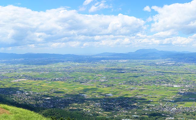 巨峰など果物狩りが楽しめる福岡県田主丸町産のピオーネを通販でお届けします。