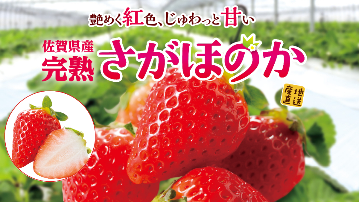佐賀県産完熟「さがほのか」
