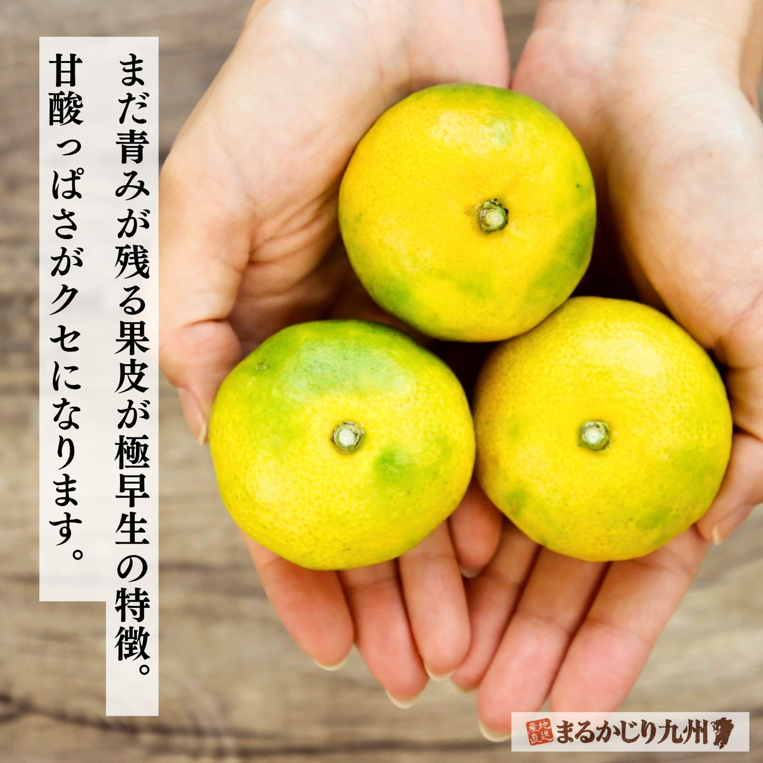 青みが残る極早生みかんの果実