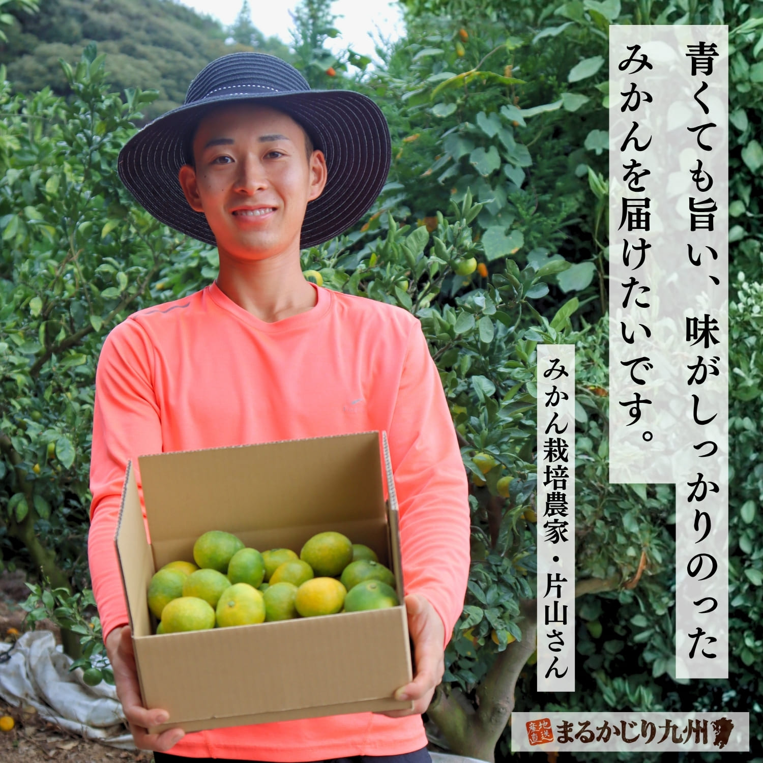 極早生みかんを栽培する熊本県の生産者片山さん