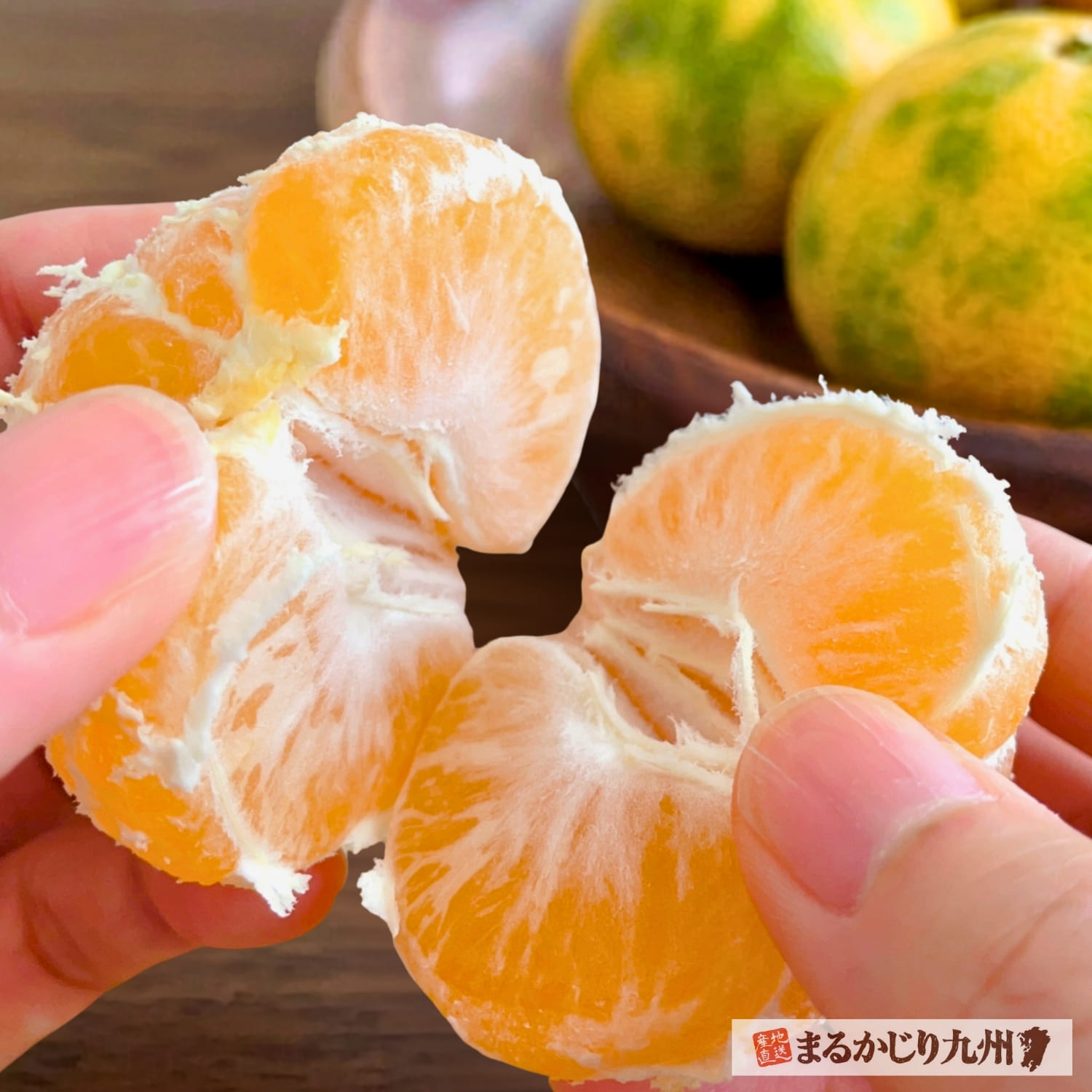皿に盛り付けた極早生みかん
