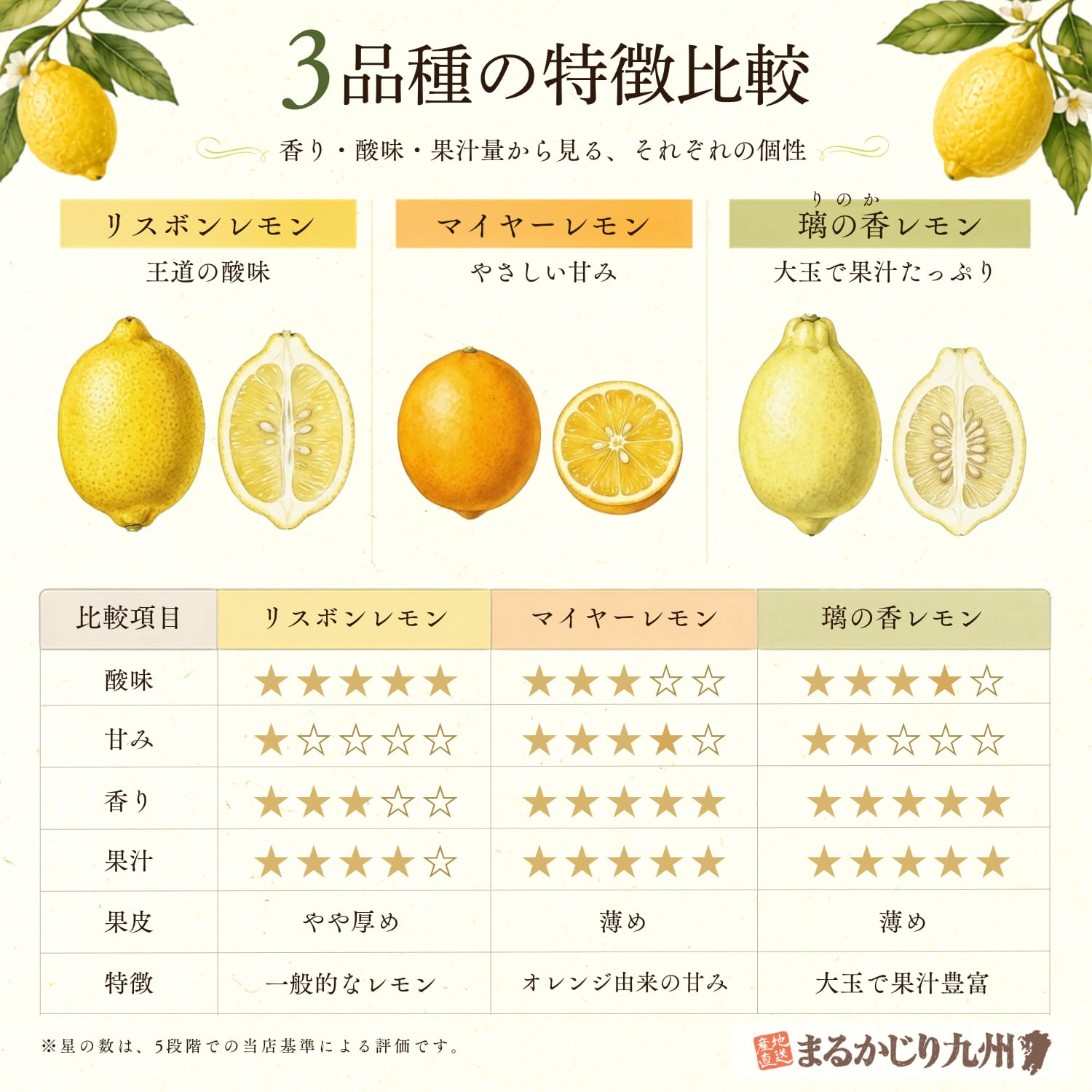 国産有機レモン】佐賀県よりオーガニックレモンを産直通販でお届け