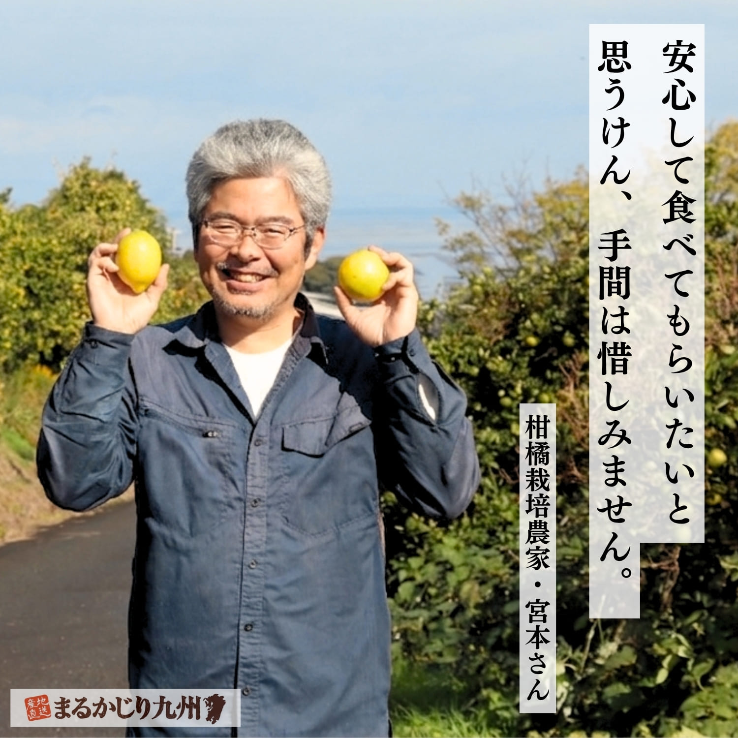 国産有機レモン】佐賀県よりオーガニックレモンを産直通販でお届け