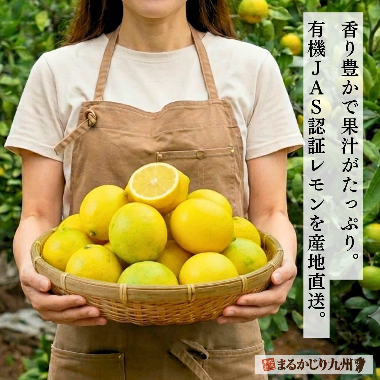 国産有機レモン】佐賀県よりオーガニックレモンを産直通販でお届け