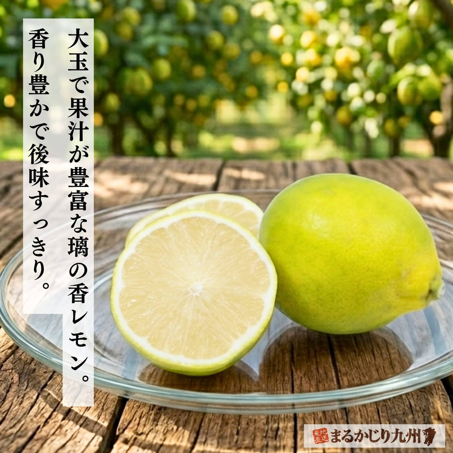 国産有機レモン】佐賀県よりオーガニックレモンを産直通販でお届け