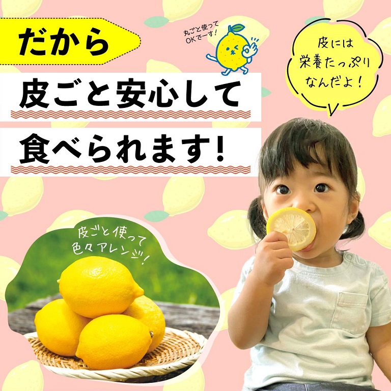 有機栽培だから小さいお子様が食べても安心！お子様のスポーツの後にレモンの砂糖漬けなどにもご活用ください！